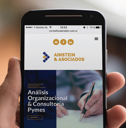 Ainstein & Asociados | Análisis Organizacional y Consultoría PyMEs